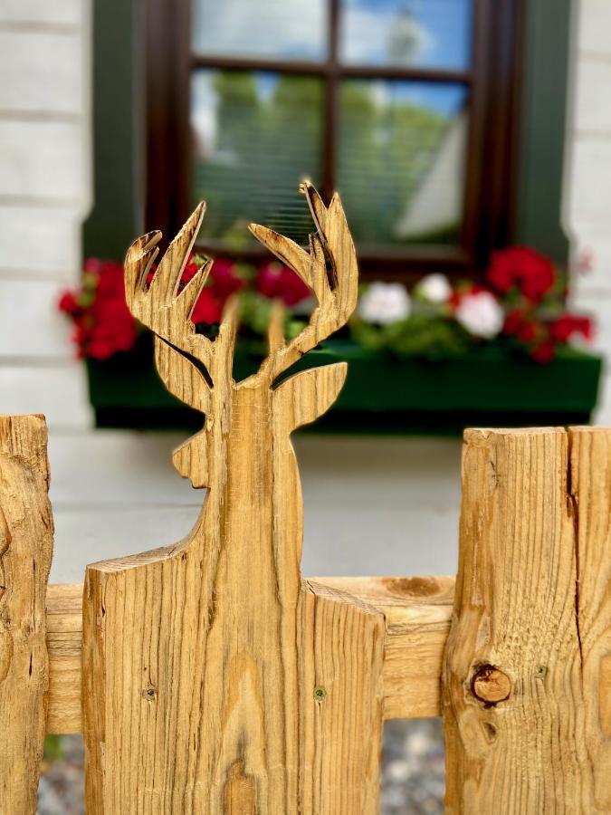 Ferienwohnung Kniep Wernigerode Exteriör bild