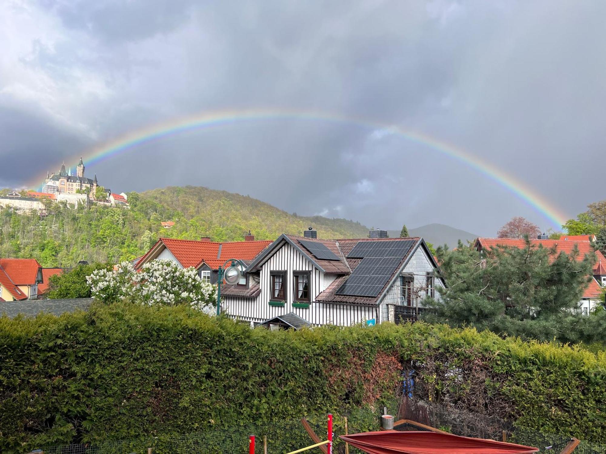 Ferienwohnung Kniep Wernigerode Exteriör bild